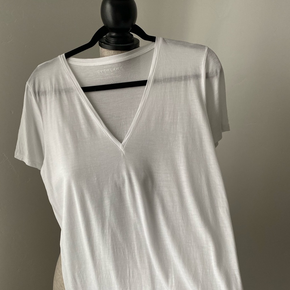 NWOT Never worn Everlane tee. Medium